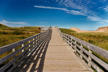 Obraz premium Boardwalk