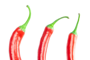 juicy red chili peppers isolated on white