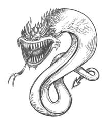 A fierce dragon pencil drawing