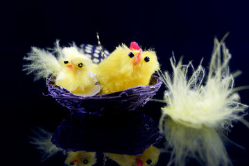 Easter Chicks - obrazy, fototapety, plakaty