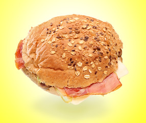 View of a big sandwich