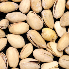 Obraz premium pistachio