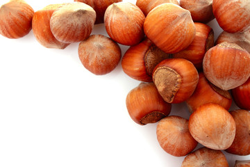 Hazelnuts Isolated on White Background