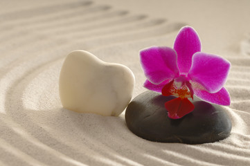Orchidee auf Stein mit Wassertropfen Sand und Herz