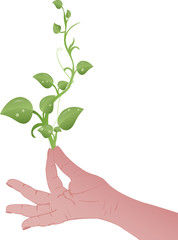 Vector illustration Green sprouts on a female hand