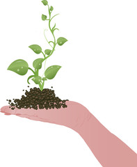 Vector illustration Green sprouts on a female hand