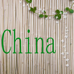 hintergrund bambus, begriff china