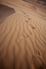 Majestic dune landscape