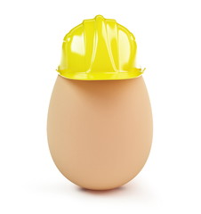 egg construction helmet