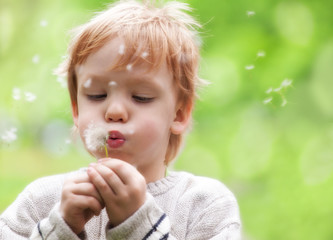 Young blond kid in the meadow blowing wishes on dandelion seed