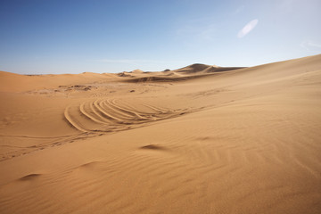 Sahara desert