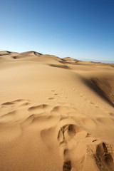 Sahara desert