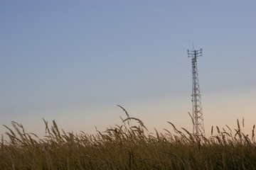 Cellular telecom tower