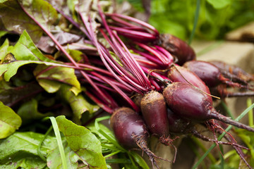 beetroot