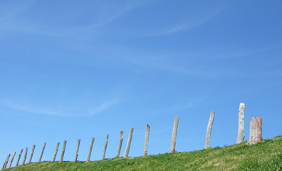 Fototapeta premium 青空の向かって