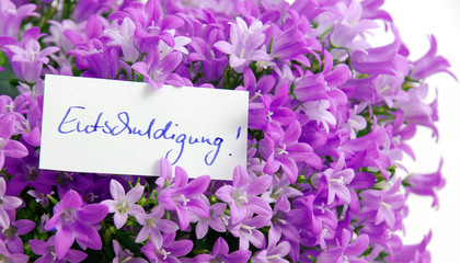 Entschuldigung! mit Blumen