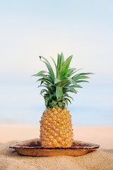 Pineapple on the beach - 30111061