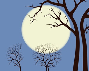 Moonlight over trees contour