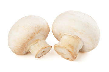 two champignons isolated on white background