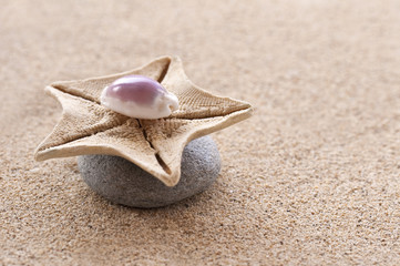 Sable, galet, étoile de mer, coquillage