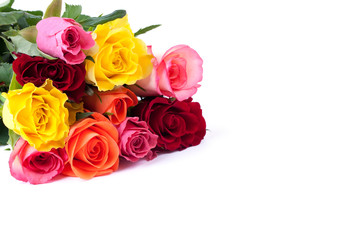 bunte Rosen