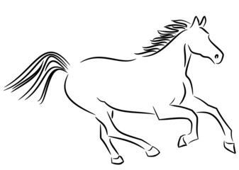 Naklejka na ściany i meble Illustration of a wild horse