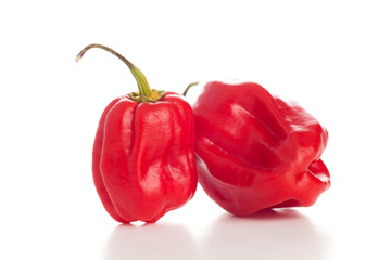 red chili peppers on the white background