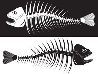 skeleton of fish