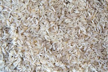 Rice Background