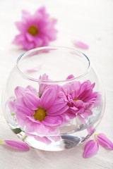 Obraz na płótnie Canvas pink flowers in glass vase