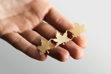 human holding little paper cutout maple leaves, nature protect c