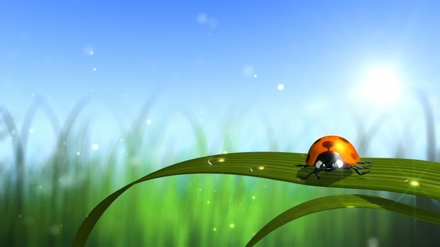 ladybird with grass and sky