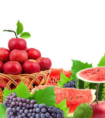 Fresh fruits and vegetables