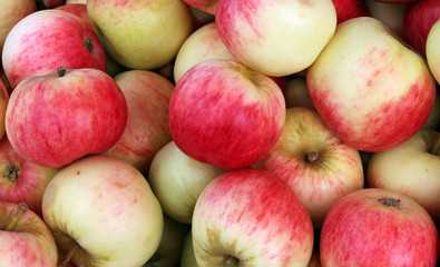 Juicy Apples