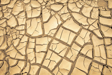 african desert