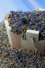 Lavendel