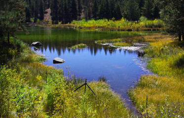 Fototapeta na wymiar Scenic pond in yellowstone national park