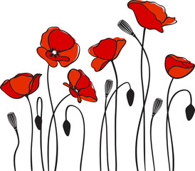 red poppies - obrazy, fototapety, plakaty