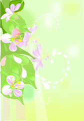 Spring background with blooming flowers