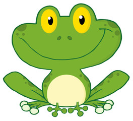 Fototapeta premium Happy Frog Cartoon Character