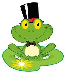 Groom Frog Cartoon Character On A Leaf