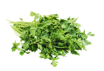 Bunch of parsley isolated on the white background