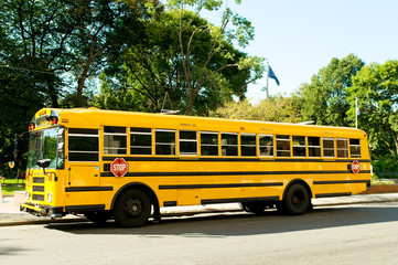Plakat ¯ółty autobus szkolny na ulicy
