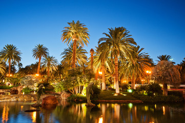 Fototapeta na wymiar Palm trees during sunset