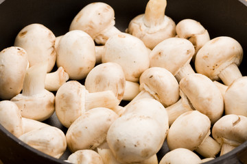 Funghi - Champignons