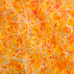 Abstract fluffy wet surface