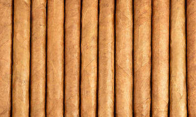Row of cuban cigars