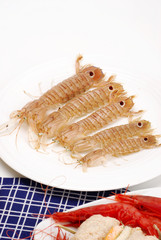 CICALE