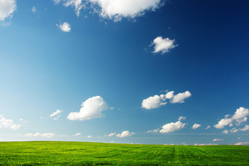 Meadow and sky