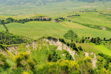 Obraz premium Crete Senesi 08